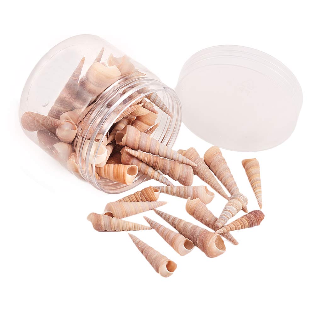 PH PandaHallWomen's Elite About Tiny Sea Shell Ocean Beach Spiral Seashells Craft Charms For Candle Making Home Decoration Beach Theme Party Wedding Decor Fish Tank And Vase Fille