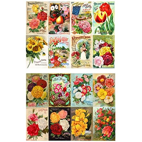 decoupage amazon Related Keywords Decoupage Amazon Long Decoupage Amazon decoupage amazon Related Keywords Decoupage Amazon Long Decoupage Amazon