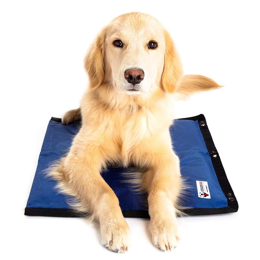 Photo 1 of CoolerDog Dog Cooling Pad Dog Cooling Products Hydro Cooling Mat for Small/Medium Dogs