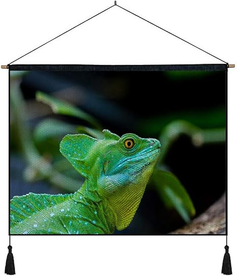 Amazon Co Jp 綿の麻 タペストリー 多機能 掛け軸 掛け物 横 70cmx50cm バジリスクトカゲ爬虫類 個性 掛け軸 掛け物 掛けじく ポスター インテリア 組立式 部屋飾り壁 壁飾り ホーム キッチン