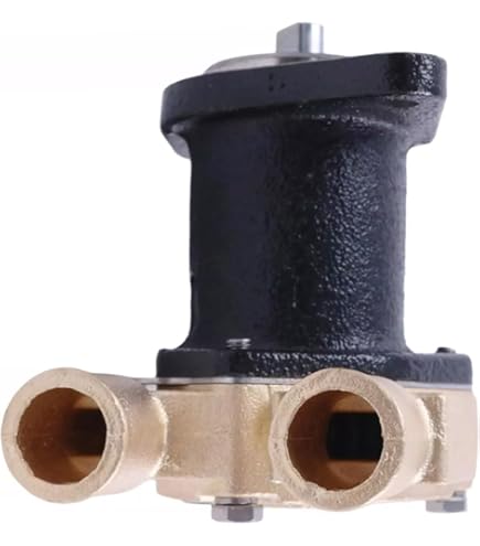 Amazon.com: AIVWUMOT Sea Water Pump 132-0459 Compatible with