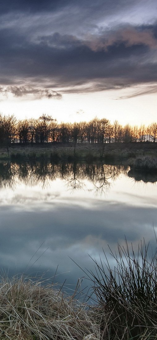 PeelitStickit, Beautiful Nature Wall Murals, ID-2862, vinyl