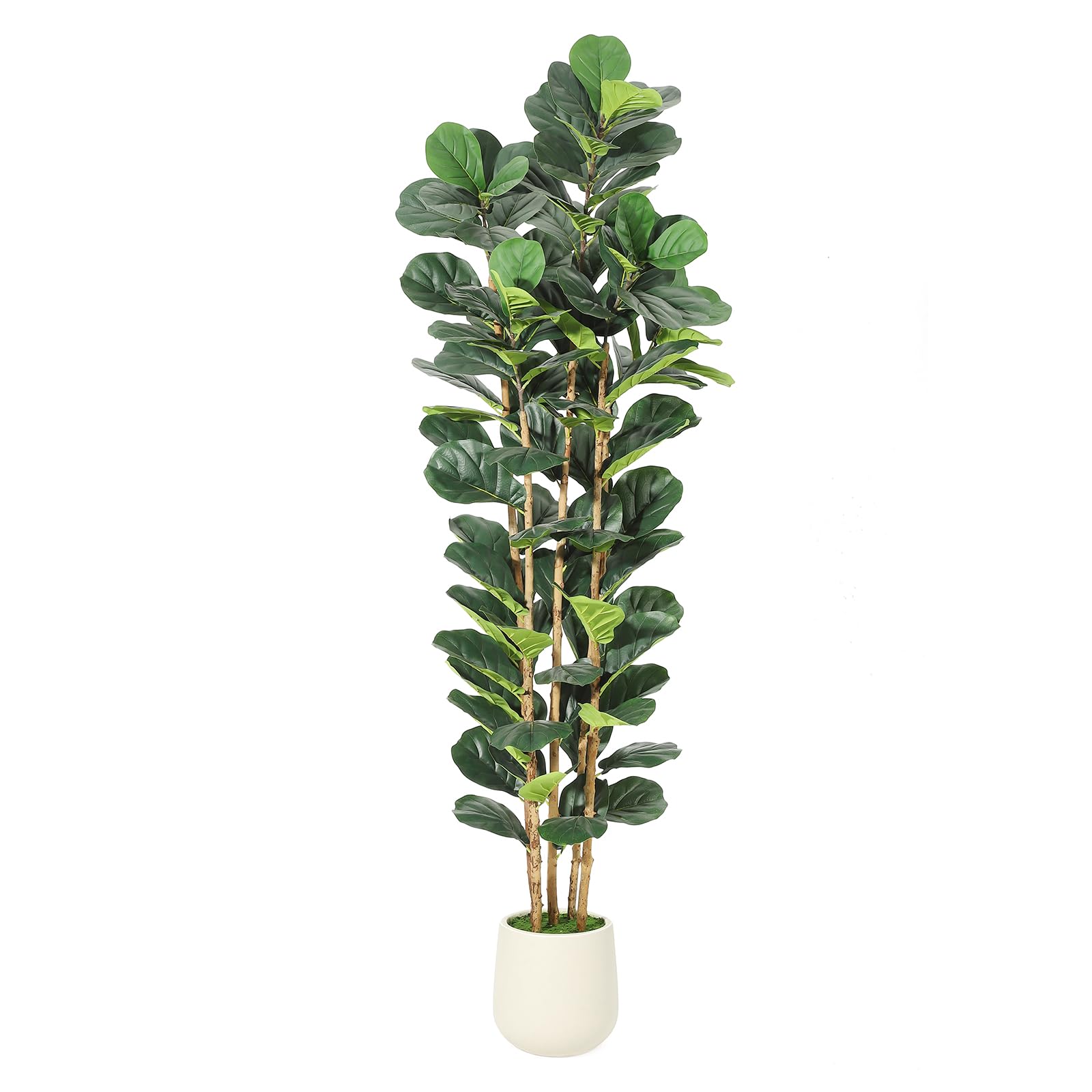 Photo 1 of Garvee Artificial Fiddle Leaf Fig Tree with White Planter, Fake Plant with Natural Wood Trunk, Faux Ficus Tree Fake Moss for Home Office Living Room Decor