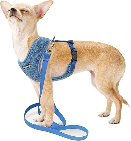 Amazon Sungroo小型犬 胴輪 ペット用 ソフト 中型犬 猫ハーネス リードセット 通気 可愛い 散歩 用 反射光 ソフト 保温 ブルー S Sungroo ハーネス 通販