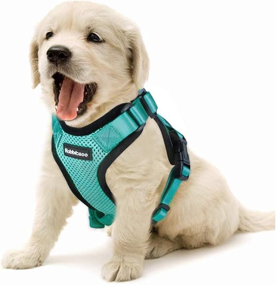 rabbitgoo Escape Proof Small Dogs Cat Harness Mesh Vest Harnesses,No