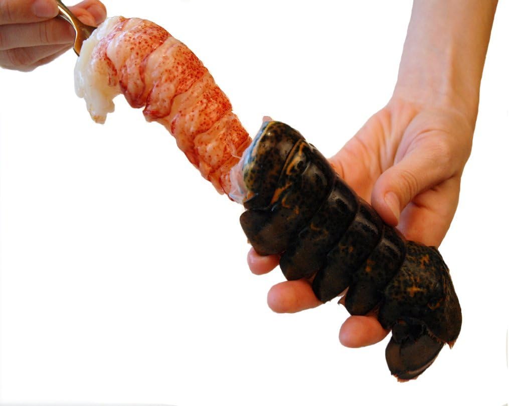 Frozen Maine Lobster Tails – In The Shell - 5 Pounds Jumbo Tails