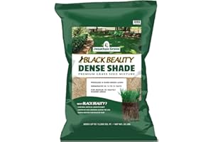 Jonathan Green (10610) Black Beauty Dense Shade Grass Seed - Cool Season Lawn Seed (25 lb)