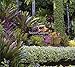 Secret Gardens by