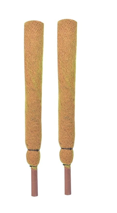 COIR GARDEN Coir Moss Stick For Plant Support, 61 cm, 2 Pieces