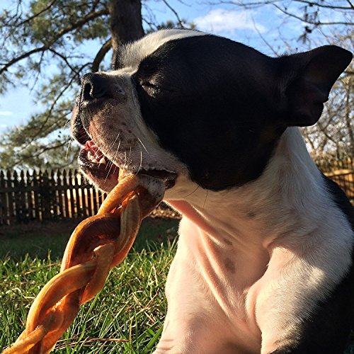 Bully Stick Variety Pack for Dogs Best Mix of Natural LowOdor Beef