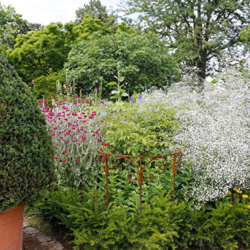 Staudenhalter 50cm Strauchhalter Staudenbinder rund Rankhilfe Stütze Pflanzen Metall Eisen Rost Deko – Bild 8