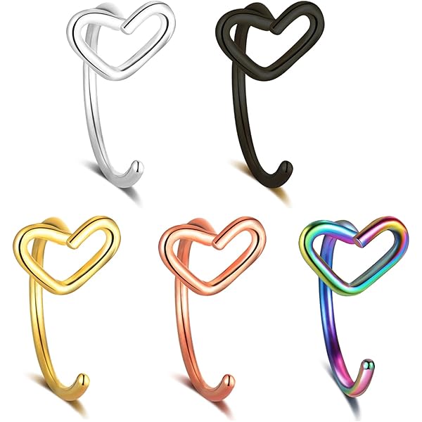 Surgical Steel Nose Rings 18G Ruifan 6-Piece Surgical Steel Heart