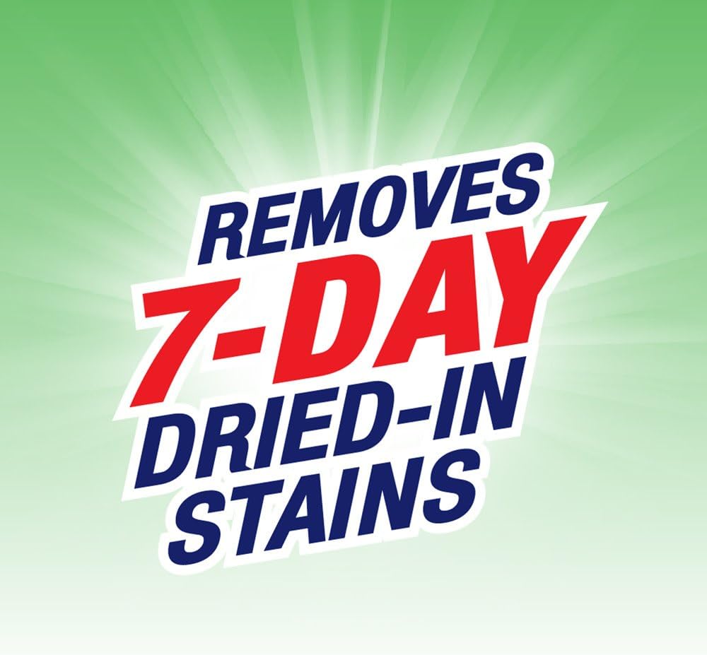 Spray 'N Wash Max Laundry Strain Remover 16 oz: Health & Personal Care
