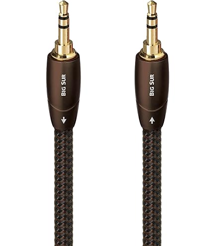 Amazon.com: AudioQuest Golden Gate .6m (1.96 ft.) 3.5mm to 3.5mm
