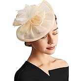 DRESHOW Women Fascinator Hats Tea Party Hat Vintage Pillbox Hat Headband for Cocktail