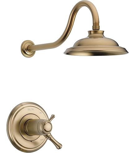 Delta Faucet Cassidy 17T Series Dual-Function Shower Trim Kit with