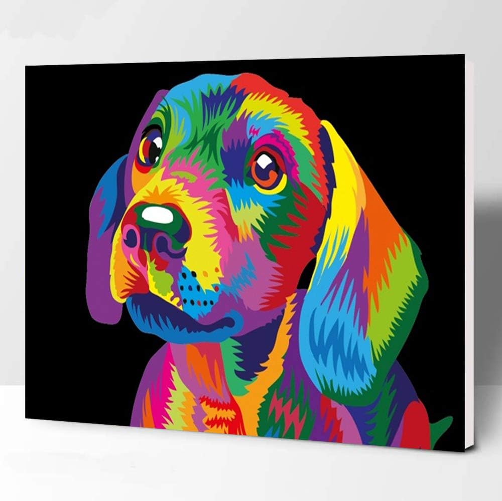 Elftoyer Paint by Numbers for Kids & Adults & Beginner, DIY Canvas Painting Gift Kits for Home Decoration