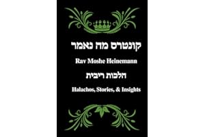 Rav Moshe Heinemann: Halachos, Stories, and Insights: Ribbis