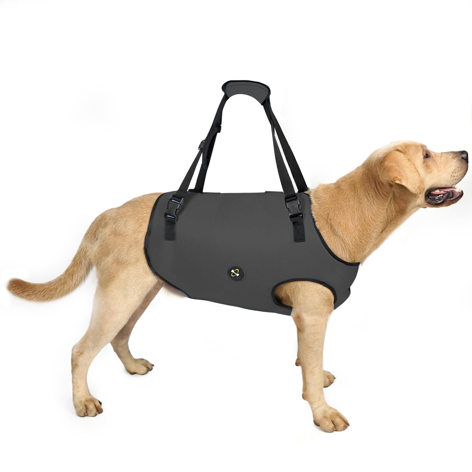 Coodeo Dog Lift Harness, Pet Support & Rehabilitation Sling Lift Adjustable Padded Breathable Straps for Old, Disabled, Joint Injuries, Arthritis, Loss of Stability Dogs Walk (Grey, XS)