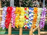 KELZ KIDZ Premium Hawaiian Leis (12 Pack) Necklaces Set for Kids & Adults for Luau Party Supplies with Bonus 20 Umbrella Cocktail Picks!