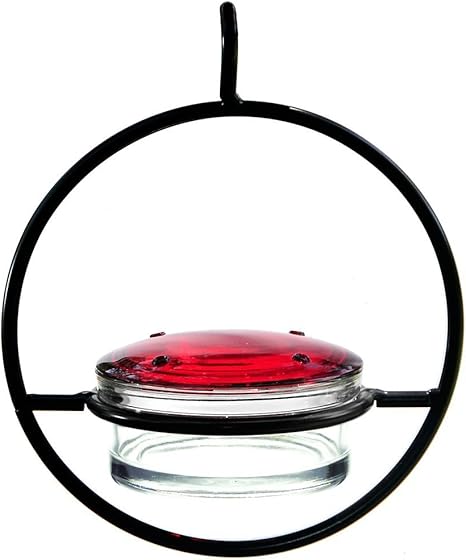 Amazon Com Best Small Hanging Hummingbird Feeder Beautiful
