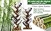 COPREE Bamboo 9-Shelf Tree Bookshelf Book Rack Display Storage Organizer Bookcase Shelving Free Standing Bookshelves for CDs, Movies & Books Holder