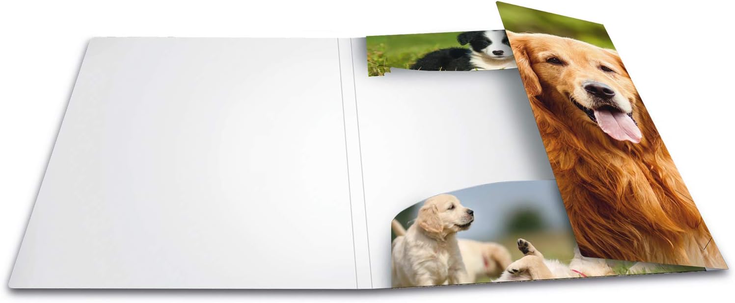 HERMA Elastic Folder Animals with Dogs Motif, A3, Sturdy Plastic, with Inner Print, 1 Span Folder - Image 4