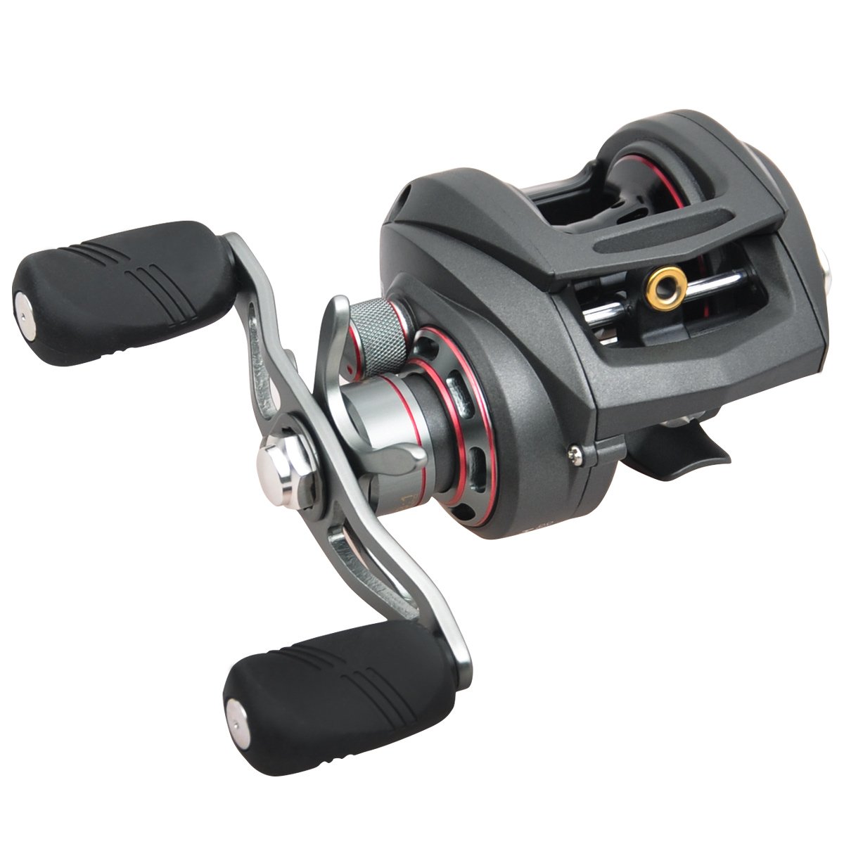 piscifun baitcaster combo