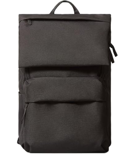 Amazon.com: Everlane The Canvas Backpack - Navy OS : Electronics display picture 2