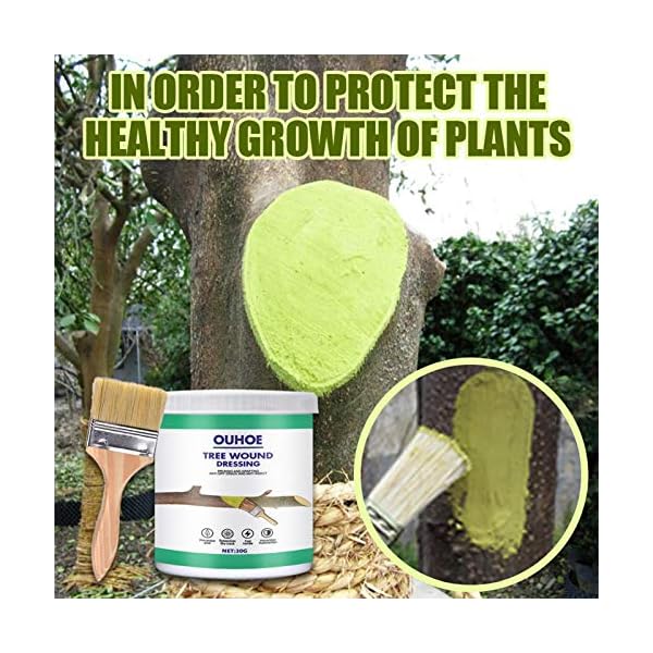 Baum Wunde Beschneidung Sealer & Pfropfung Baum Blume Ernährung Sahne Wachstum Sahne Verbindung Wundverschlussmittel Zur… – Bild 6