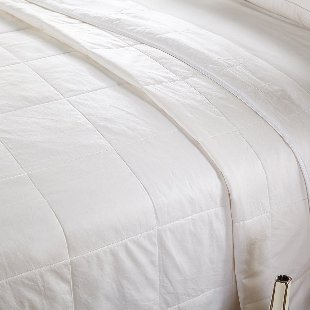 Lilysilk Silk Comforter Washable Cotton Covered Filled with 100 Percent
