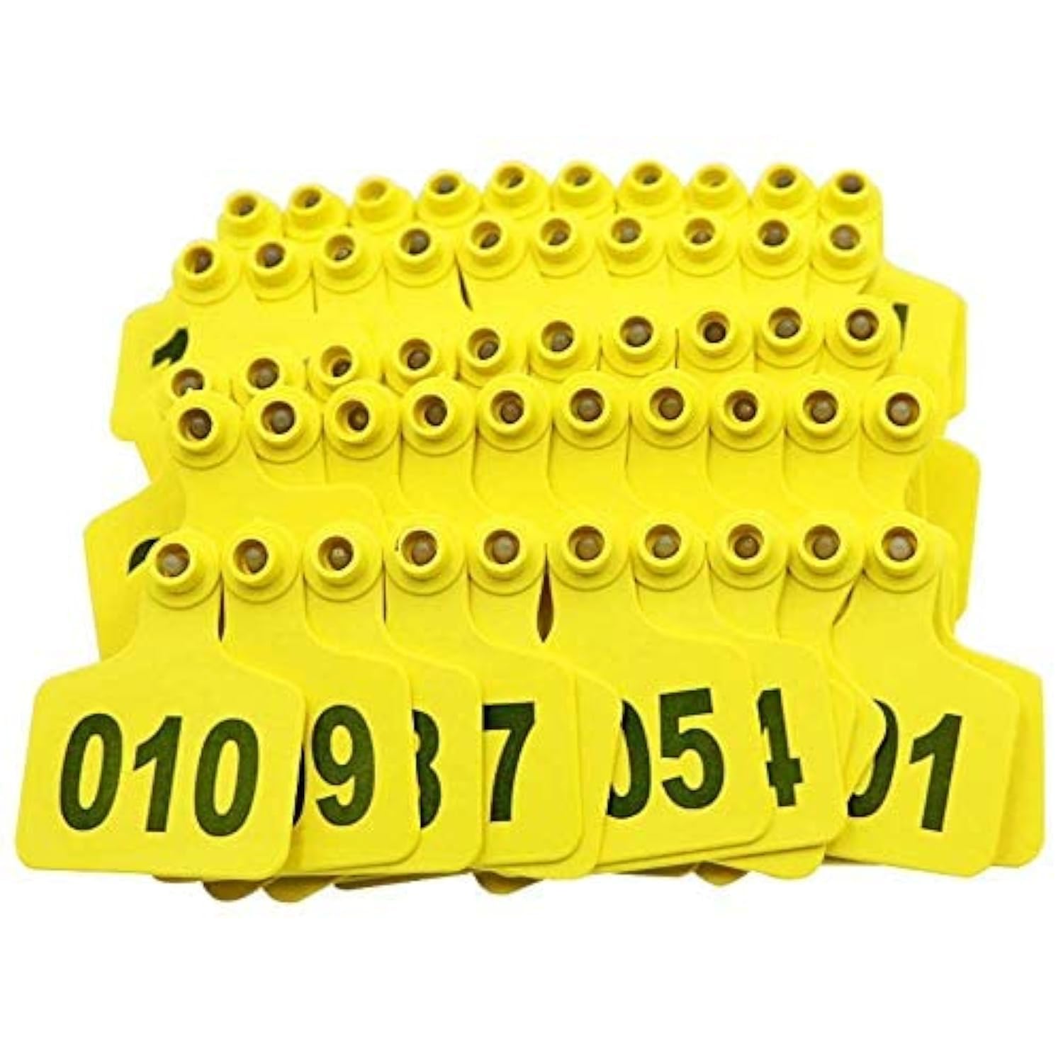 Cattle Ear Tags, Large Plastic Livestock Ear Tags for Sheep Cattle Calf Hog with Number 001-100/101-200/201-300, Animal Identification Ear Tags