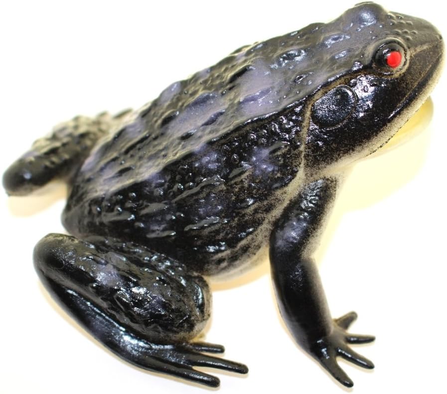Collectible Wildlife Gifts Frog Black~ Rubber Squeak Replica 4" L x 4" H ~ F6085-B380
