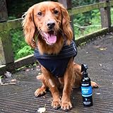 Animology Mucky Pup No-Rinse Shampoo Puppy Spray 250ml view 4