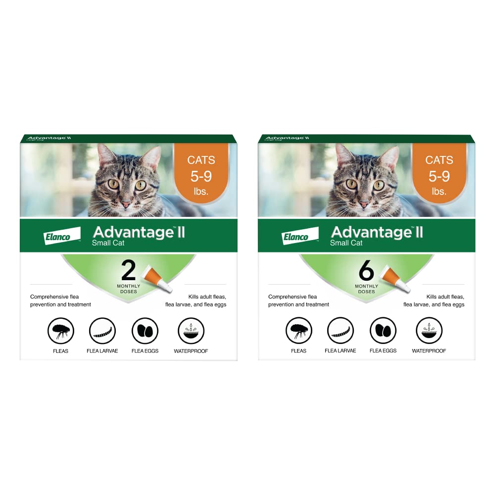 Advantage II Small Cat Flea Treatment & Prevention