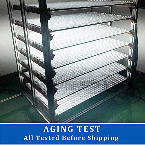 CNSUNWAY LIGHTING 4 Foot T8 LED Tube Light, 22W, 2400LM, 5000K Daylight, Dual-Ended Power, Ballast Bypass, 48" Fluorescent Light Bulbs Replacement-25 Pack