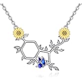 TIGER RIDER Sterling Silver Molecular Serotonin Necklace Dopamine Necklace Birthday Graduation Christmas Gifts Suitable for Women Teachers Chemistry Graduates Science Lovers