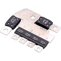 Amazon.com: Car Top Electrical Fuse Slice 250A 95168351 1Pcs
