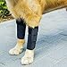 GNIKS Dog Front Leg Wrap Protects Brace Pets Joint Hock Paw Compression Wraps for Protects Wounds Brace Heals and Prevents Injuries and Sprains (L-XL)