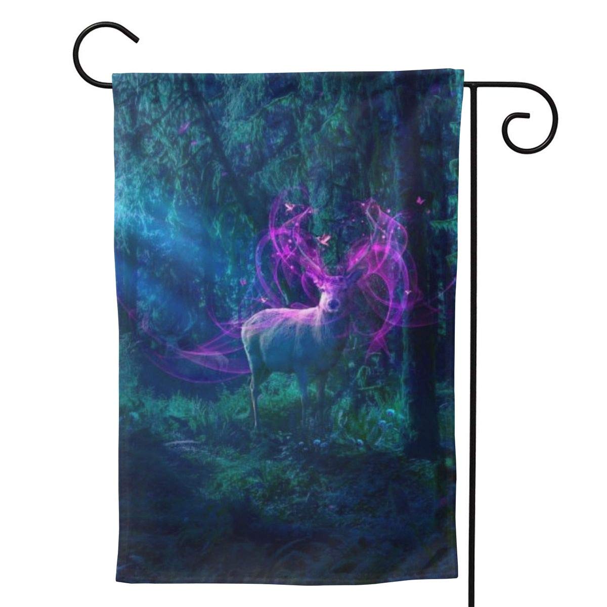 Amazon Com Wake Enchanted Forest Forest Park Wake Forest The