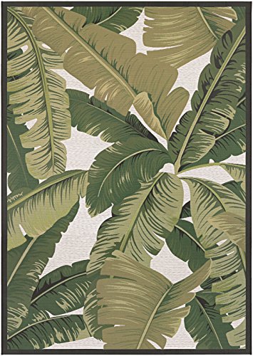 61n6ifeRfZL 61n6ifeRfZL