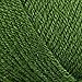 Lion Brand Yarn Lion Brand Vanna's Choice Yarn (172) Kelly Green