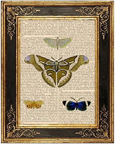 Dreamery Studio, Moth Butterflies #2 Art Print on Upcycled Antique Book Page, 8x10.5