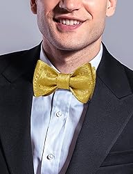 DiBanGu Gold Bow Tie for Men Jacquard Woven Silk