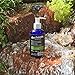 Das Boom Everywhere Lotion (Denali, 8 Ounces)