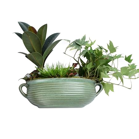 Soportes para plantas Soporte de Flor Colgante de Pared Maceta de ...