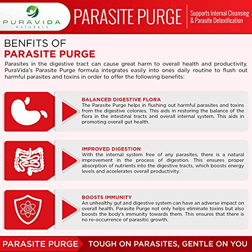 Powerful Parasite Cleanse for Humans Kill Pinworms, Worms and Parasite