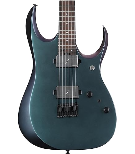 Amazon.com: Ibanez Prestige RGR5130 Electric Guitar - Gray