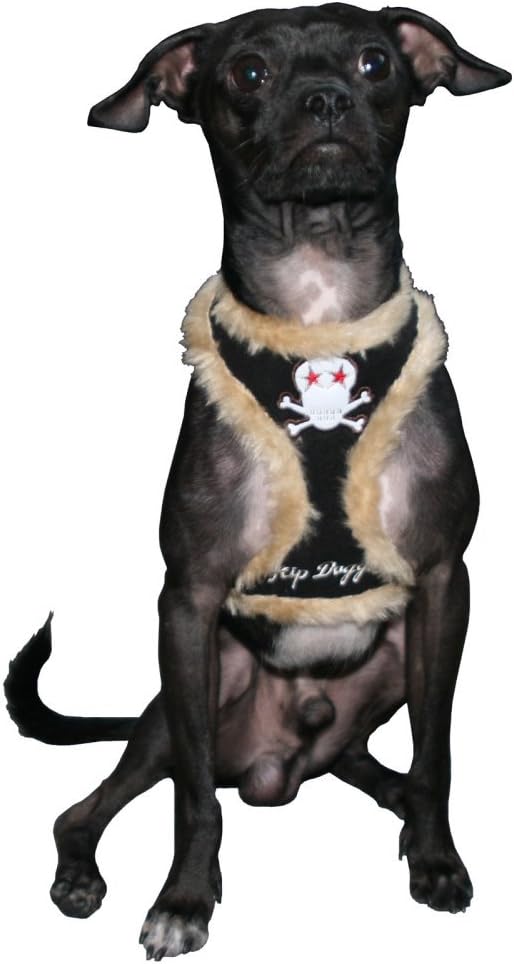 skull dog harness