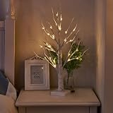 Eambrite Set of 2 Small Birch Twig Tree Lights 60cm Battery Operated view 6